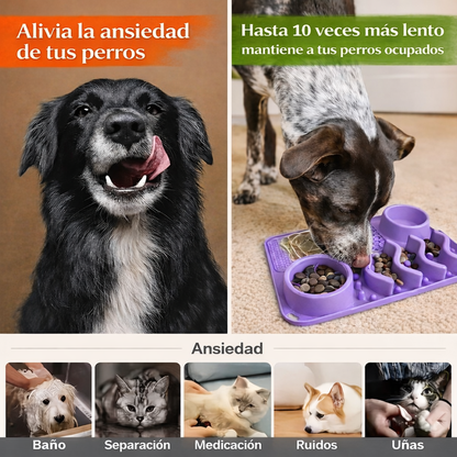 COMEDERO CALMA & COME PAW™ 5EN1