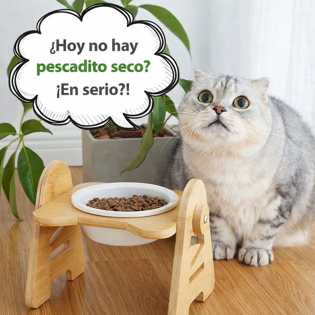 COMEDERO ELEVADO PAW™