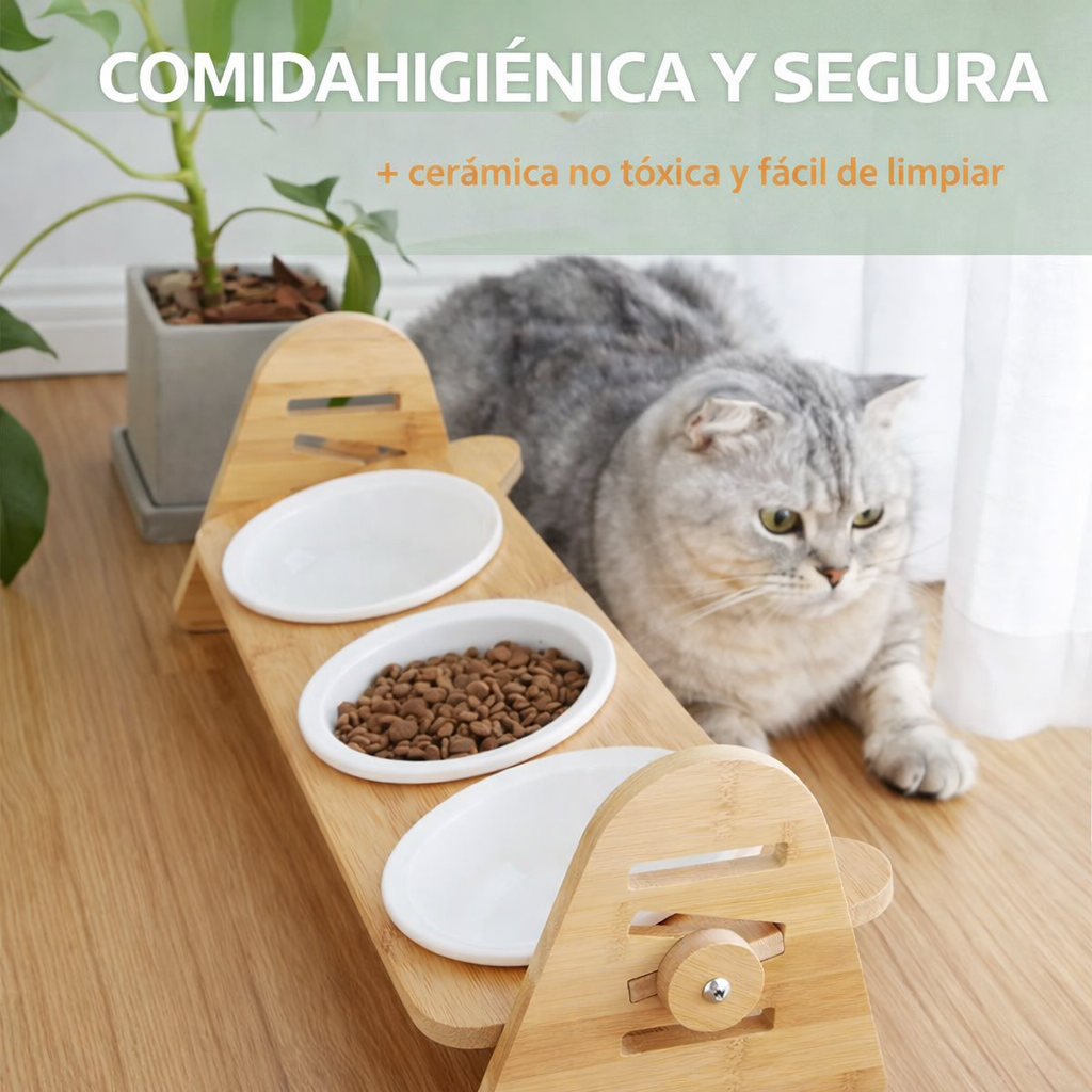 COMEDERO ELEVADO PAW™