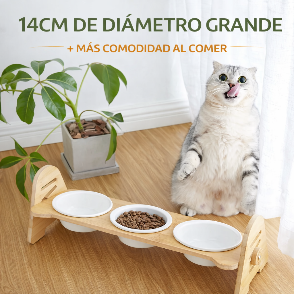 COMEDERO ELEVADO PAW™