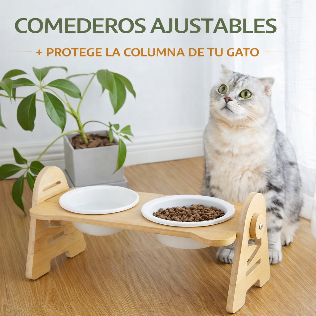 COMEDERO ELEVADO PAW™