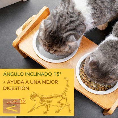 COMEDERO ELEVADO PAW™