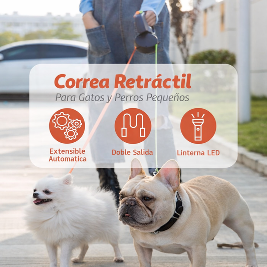 CORREA RETRÁCTIL DOBLE 360°