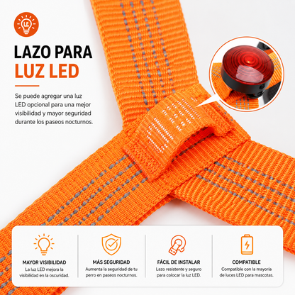 ARNÉS ANTITIRONES CONTROL TOTAL PAW™