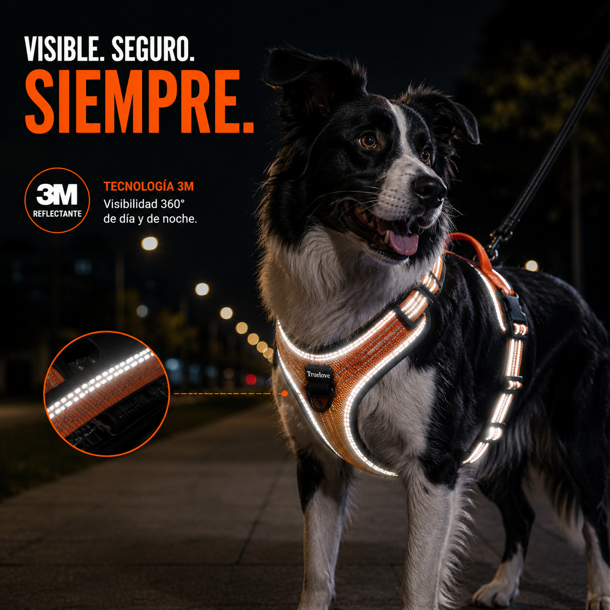 ARNÉS ANTITIRONES CONTROL TOTAL PAW™