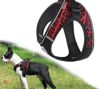 ARNÉS "TITANIUM-STRENGTH" ERGO-X