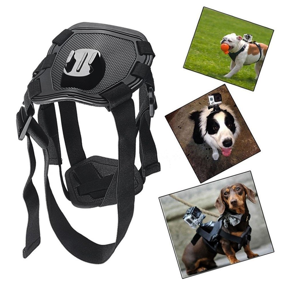 ARNÉS GOPRO PRO PAW™ POV