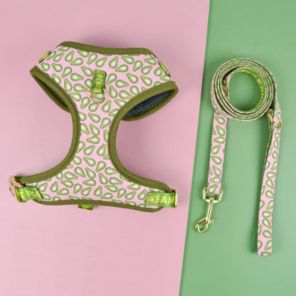 MIMO HARNESS SET FOR DOGS