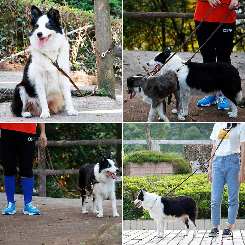 CORREA MULTIPOSICIÓN DE CUERO PREMIUM PAW™