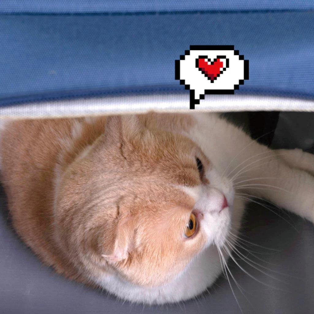 MOCHILA RETRO GAME PET PAW™