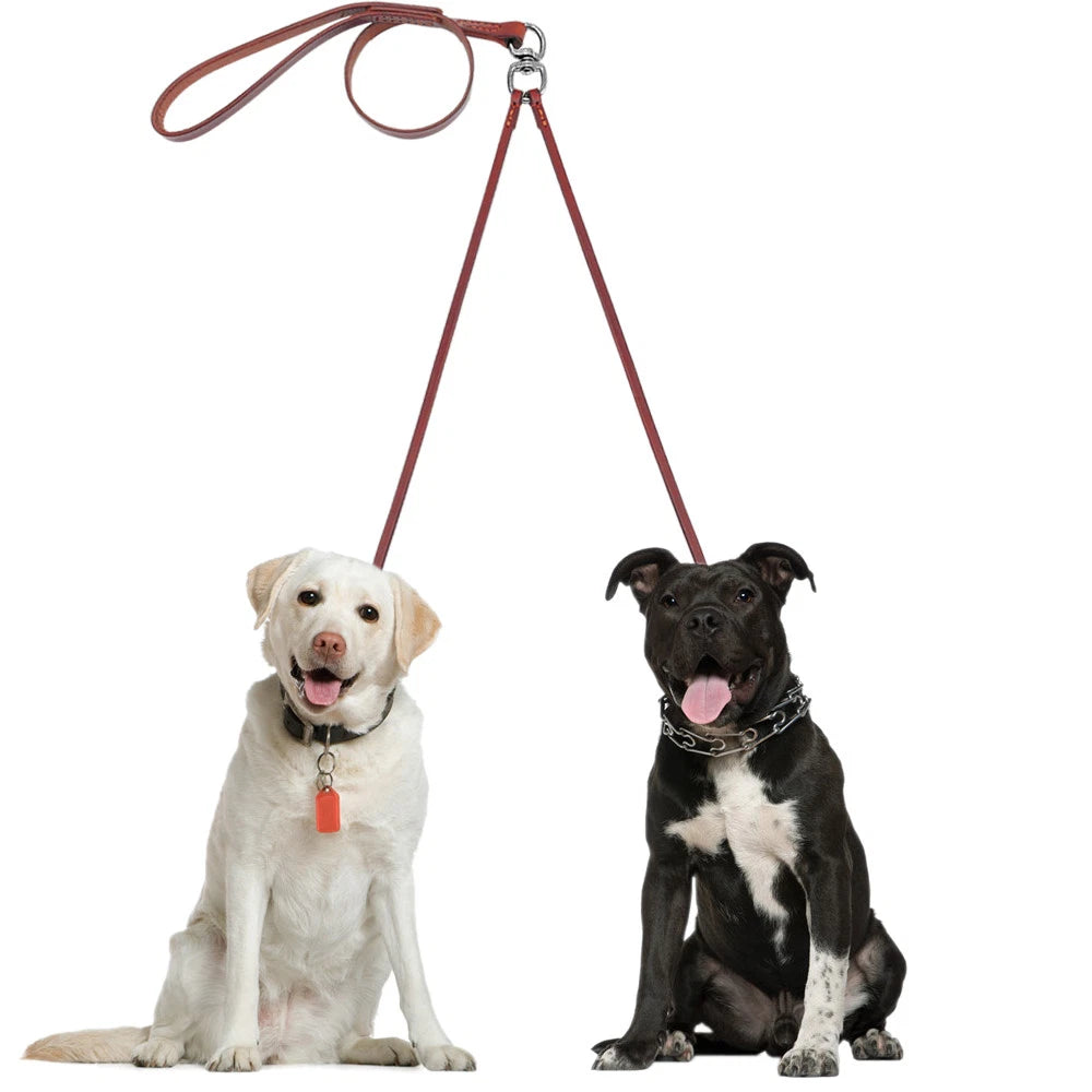 CORREA DE DOBLE CONTROL TOTAL PAW™