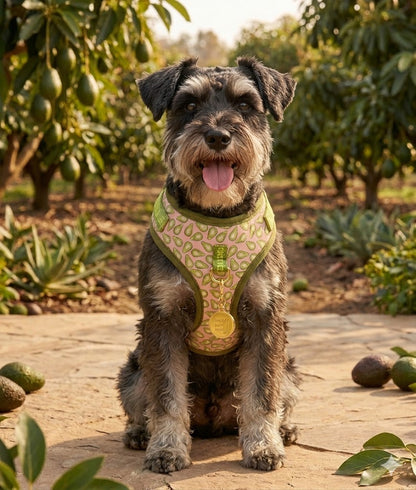 MIMO DOG HARNESS