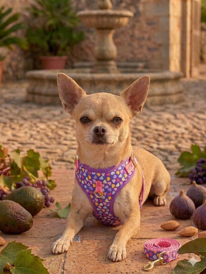 MIMO DOG HARNESS